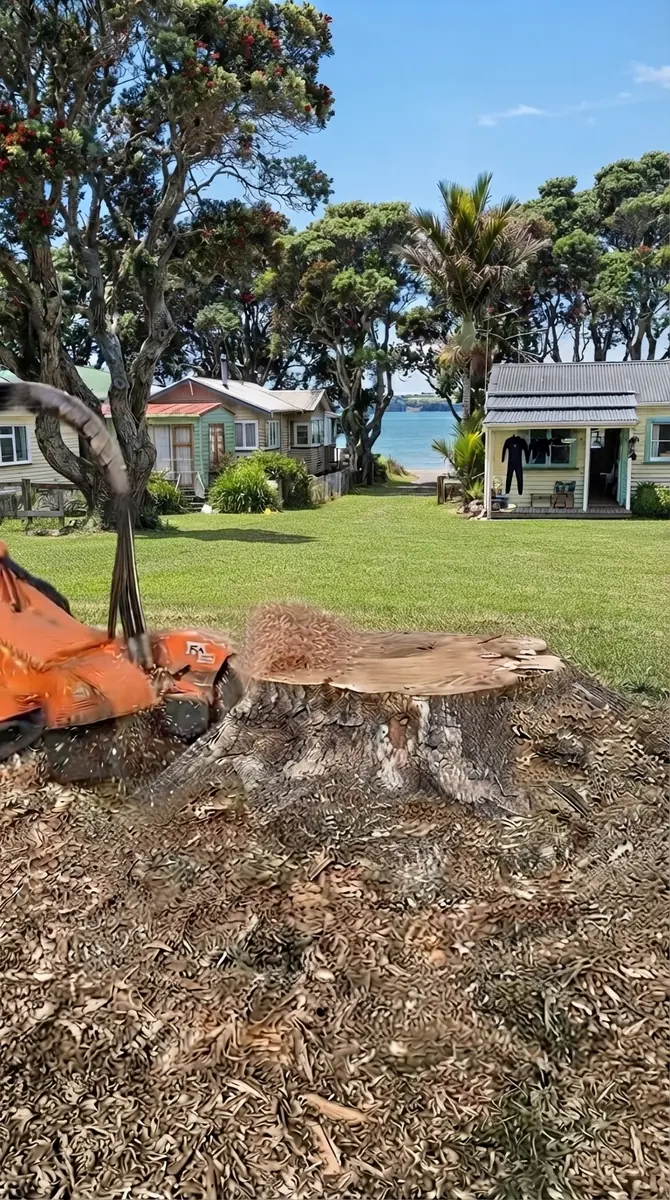 Stump grinder removing a tree stump on a coastal North Shore property