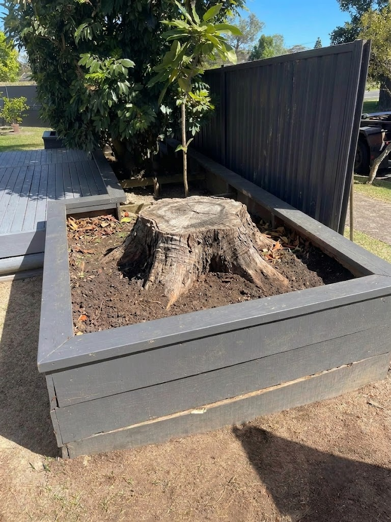 Before stump grinding: large tree stump inside a grey timber raised planter box on a North Shore property