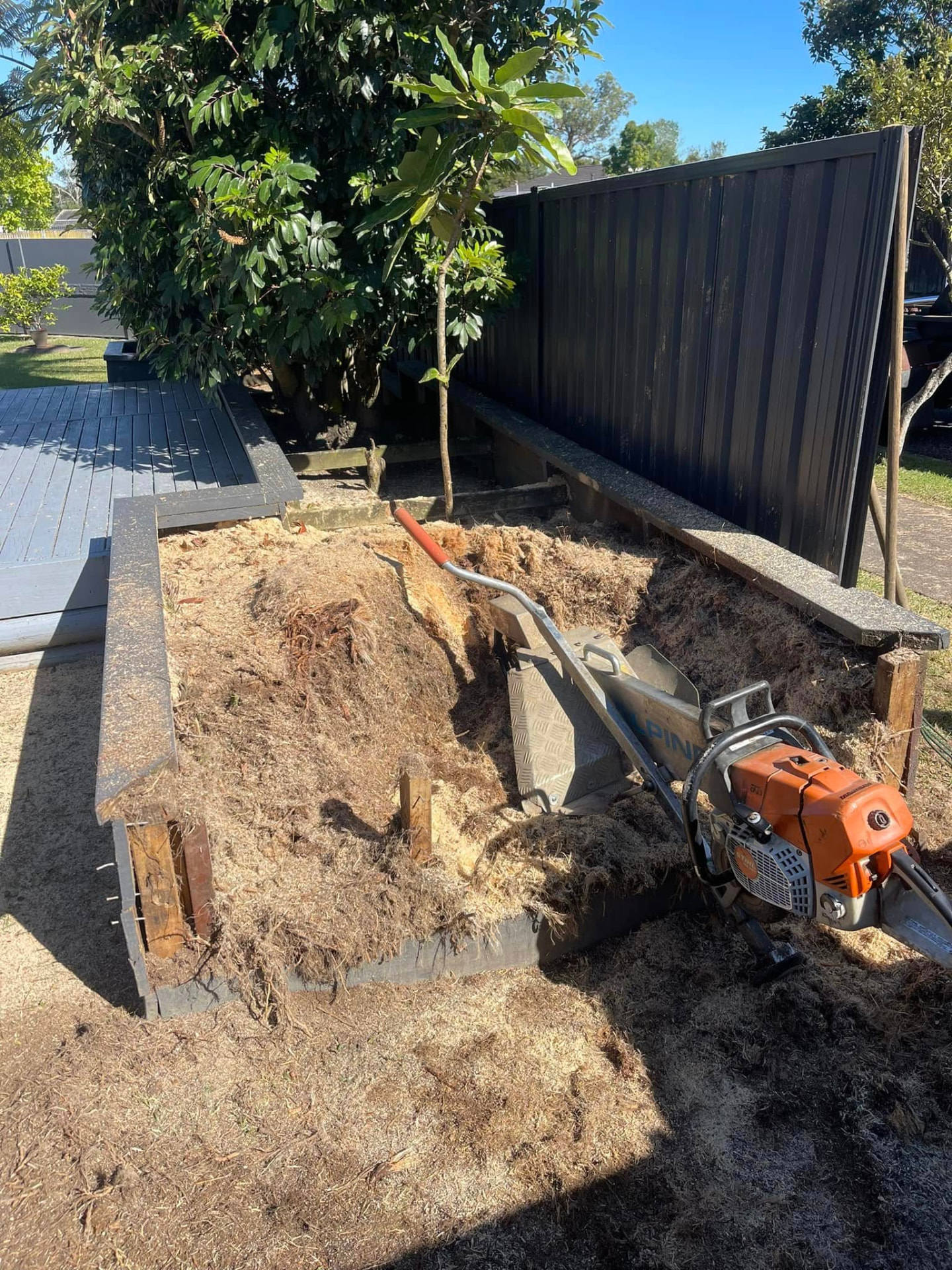 During stump grinding: stump reduced to mulch and grindings inside the planter box with the stump grinder alongside