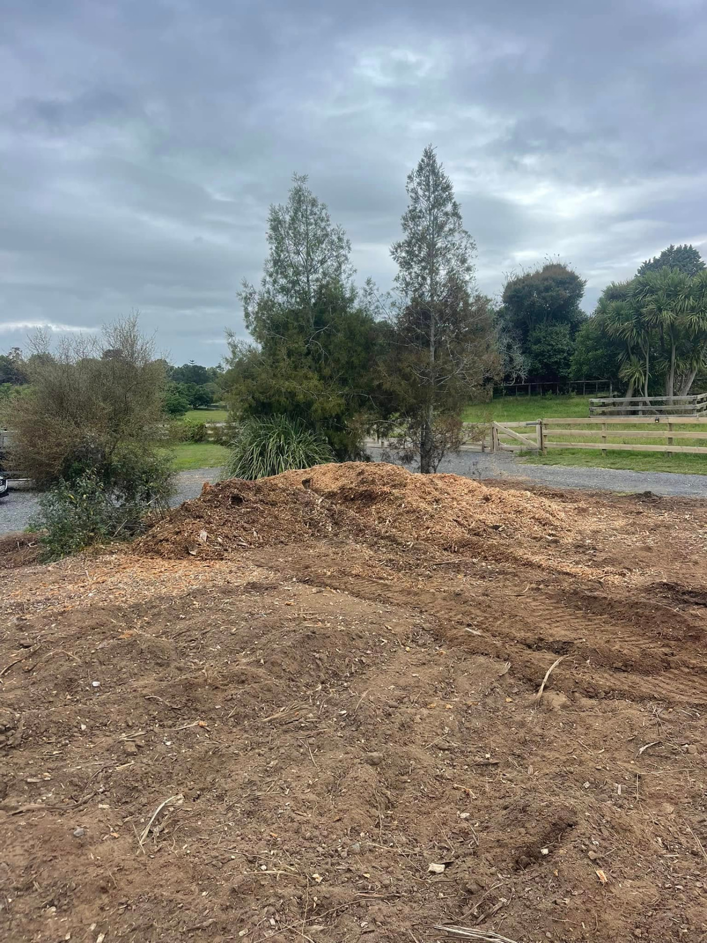 After: the stump completely removed and the pad levelled, with a large pile of mulch grindings left on site
