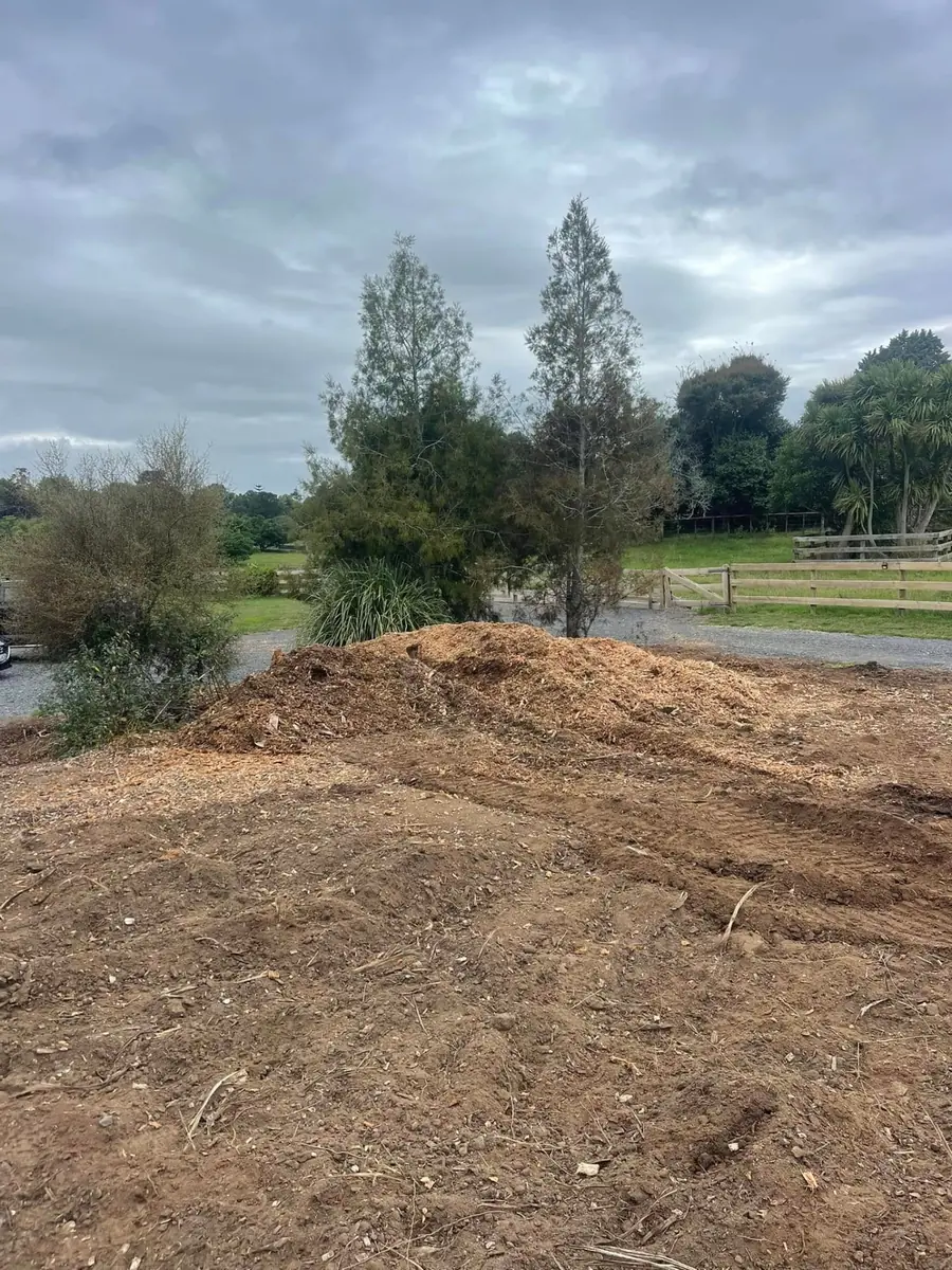 After: the stump completely removed and the pad levelled, with a large pile of mulch grindings left on site