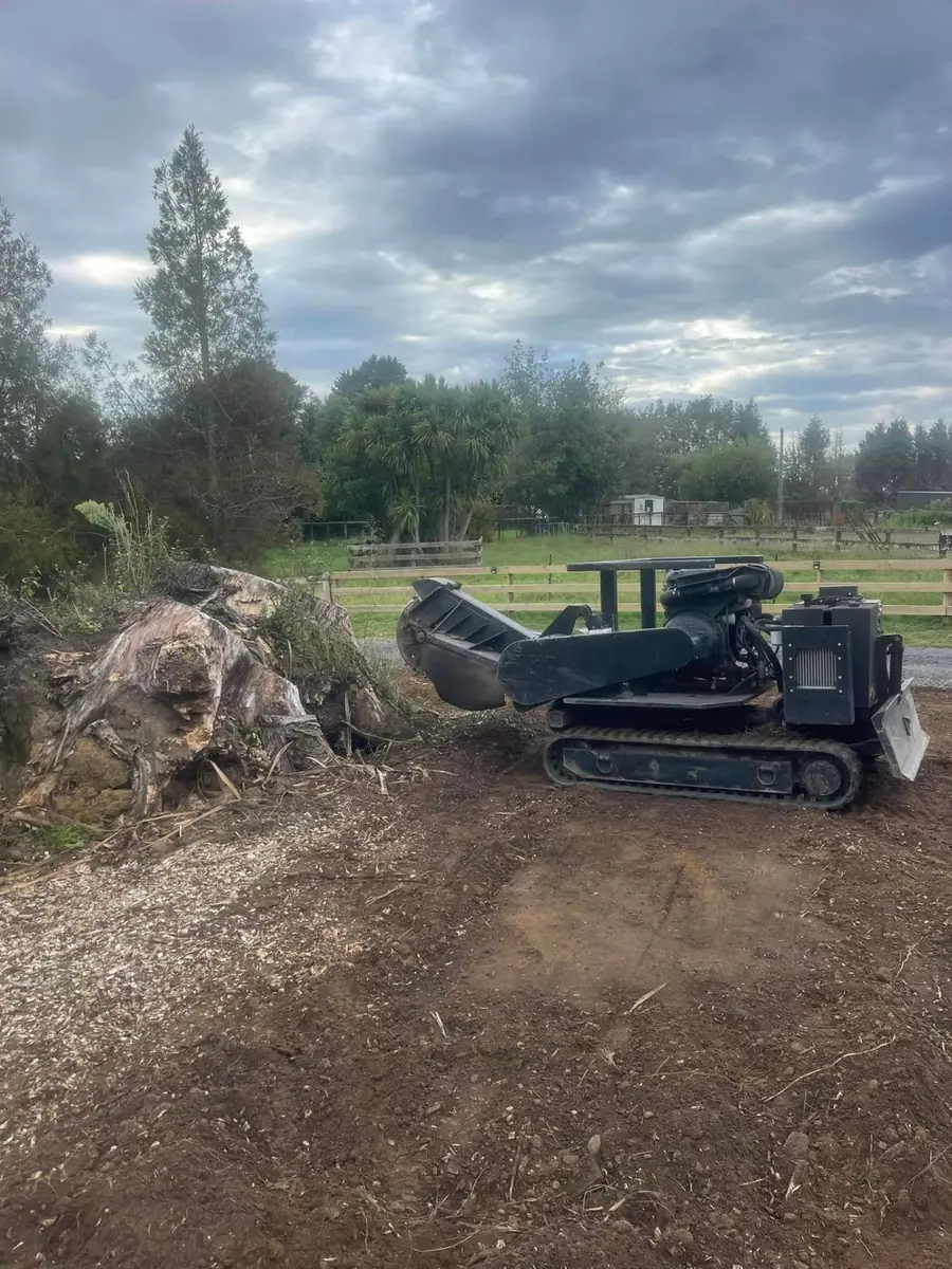 Before: giant tree stump and root plate on a North Shore lifestyle block with a tracked stump grinder alongside