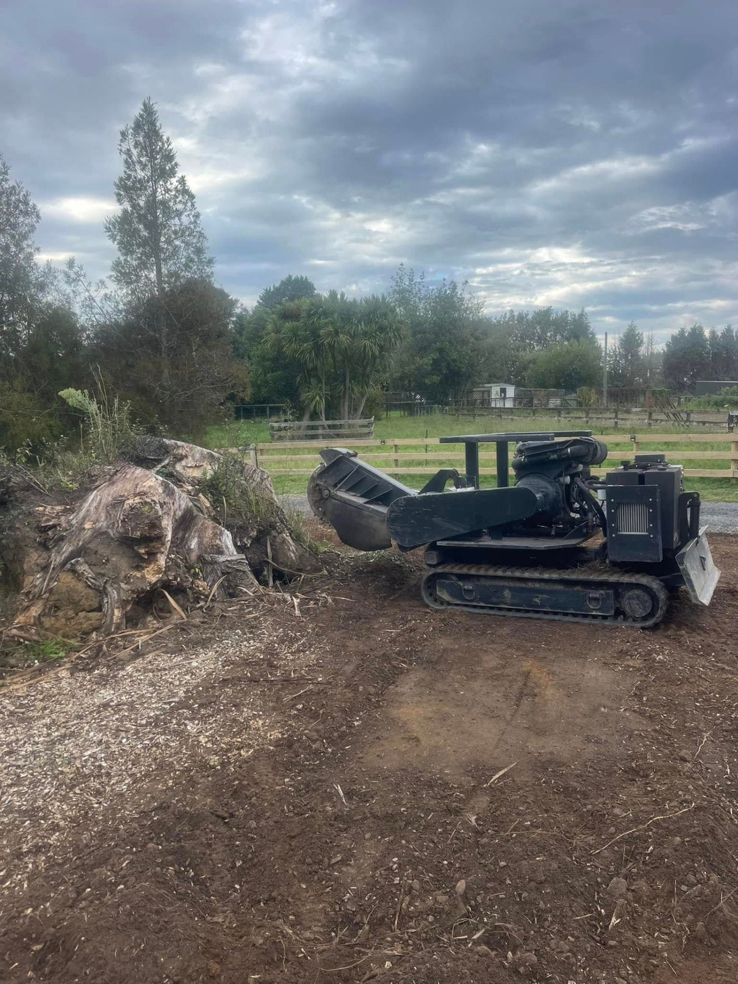 Before: giant tree stump and root plate on a North Shore lifestyle block with a tracked stump grinder alongside
