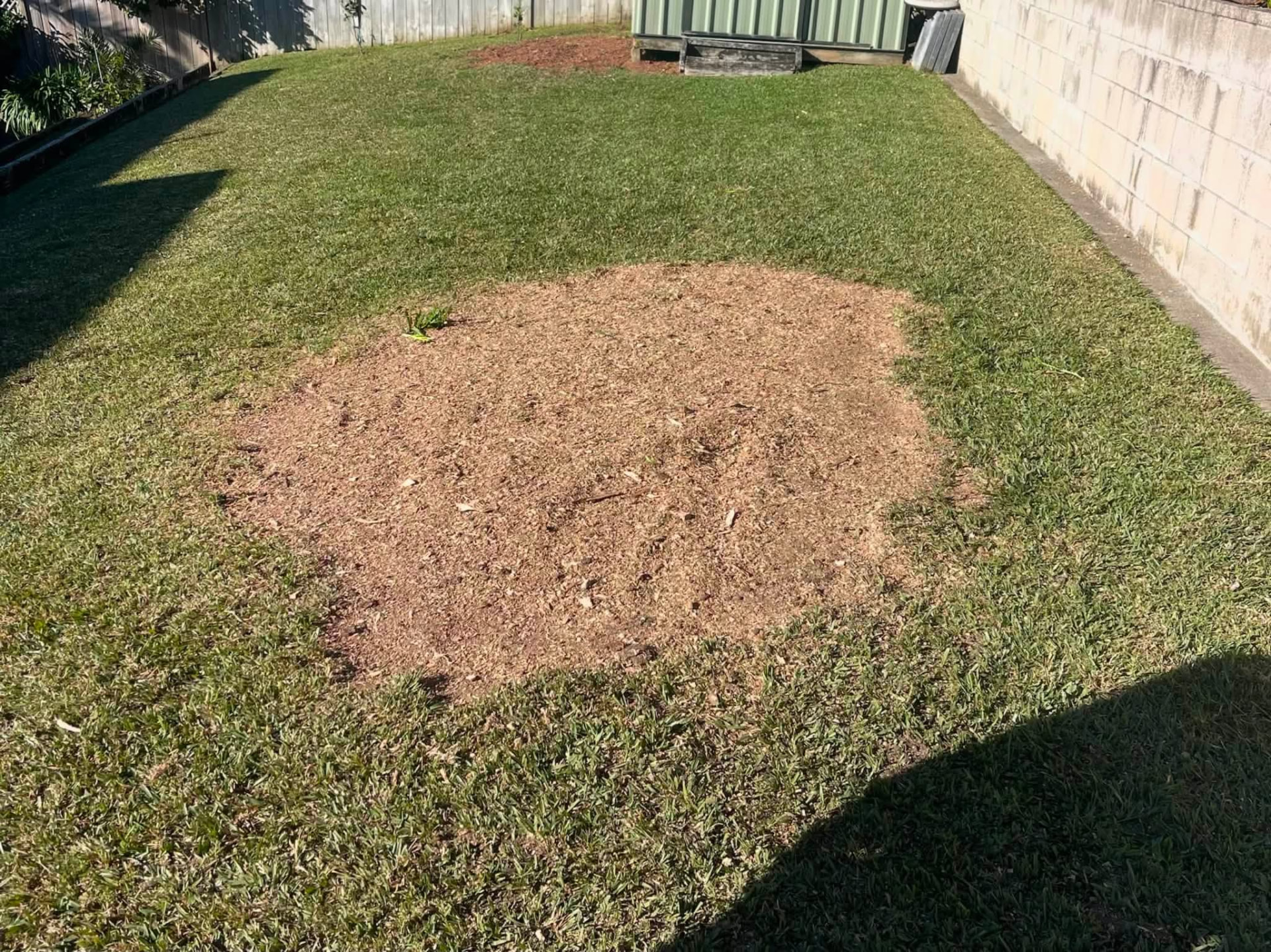 After stump grinding: level circle of mulch where a large tree stump was removed from a North Shore backyard lawn