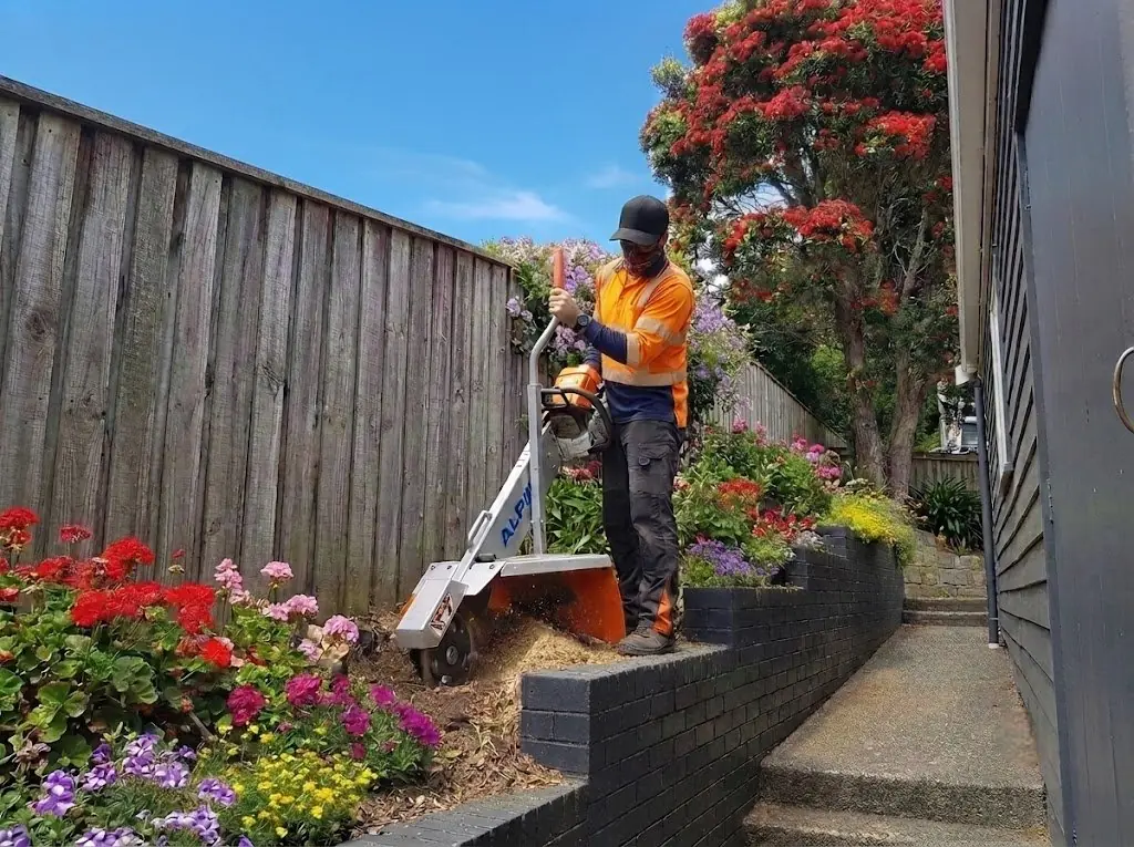 Just Stumps operator grinding a stump beside a fence on the North Shore, Auckland