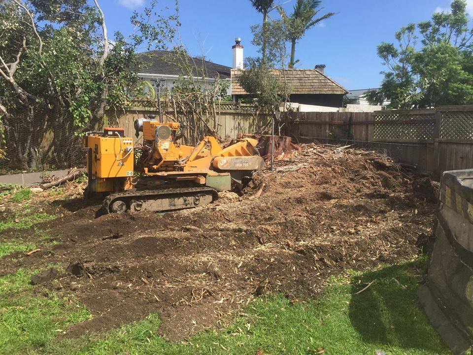 Stump grinder cutting a tree stump into mulch on a North Shore back lawn