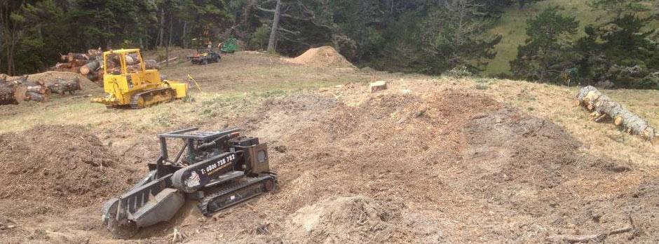 Stump grinder working a large stump on a sloping North Shore section
